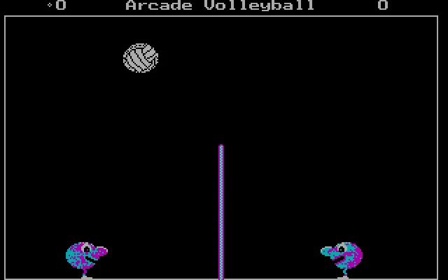 Arcade Volleyball