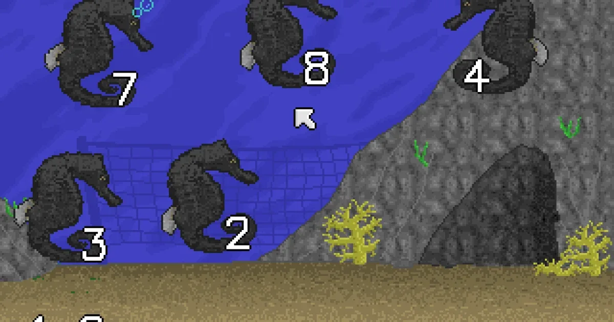 Sea School